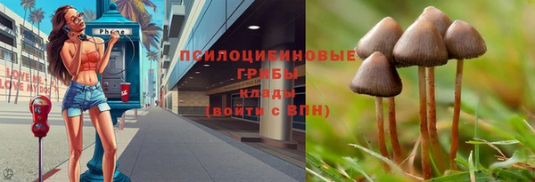 амф Баксан